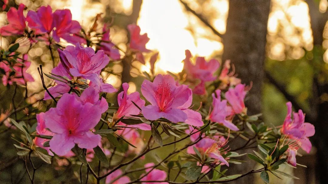 23E78AC45AF161930172B014DD8_72CE5790_1D881 ͼƬ