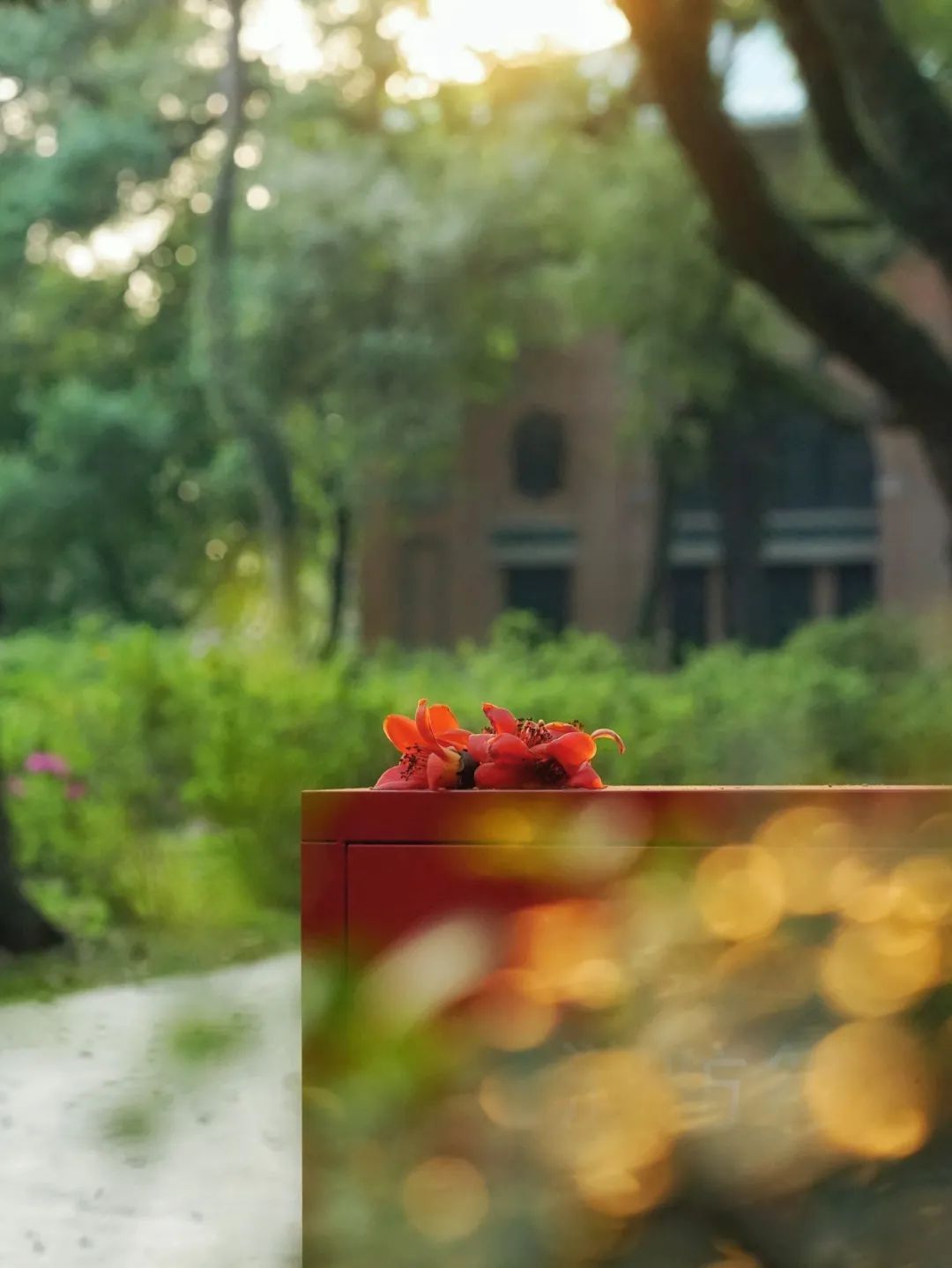 BC88178422A477A9F609EA03BE9_08304929_1A064 ͼƬ