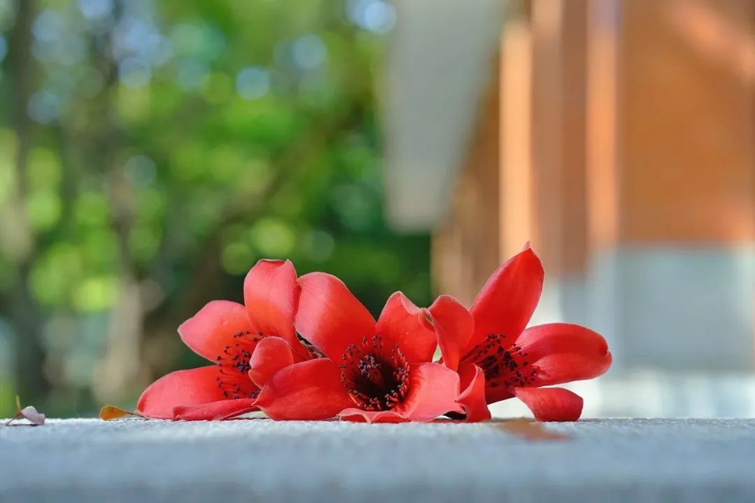 8771091E99A78B5D9262FFB5FA0_6A4D0E95_F1E7 ͼƬ