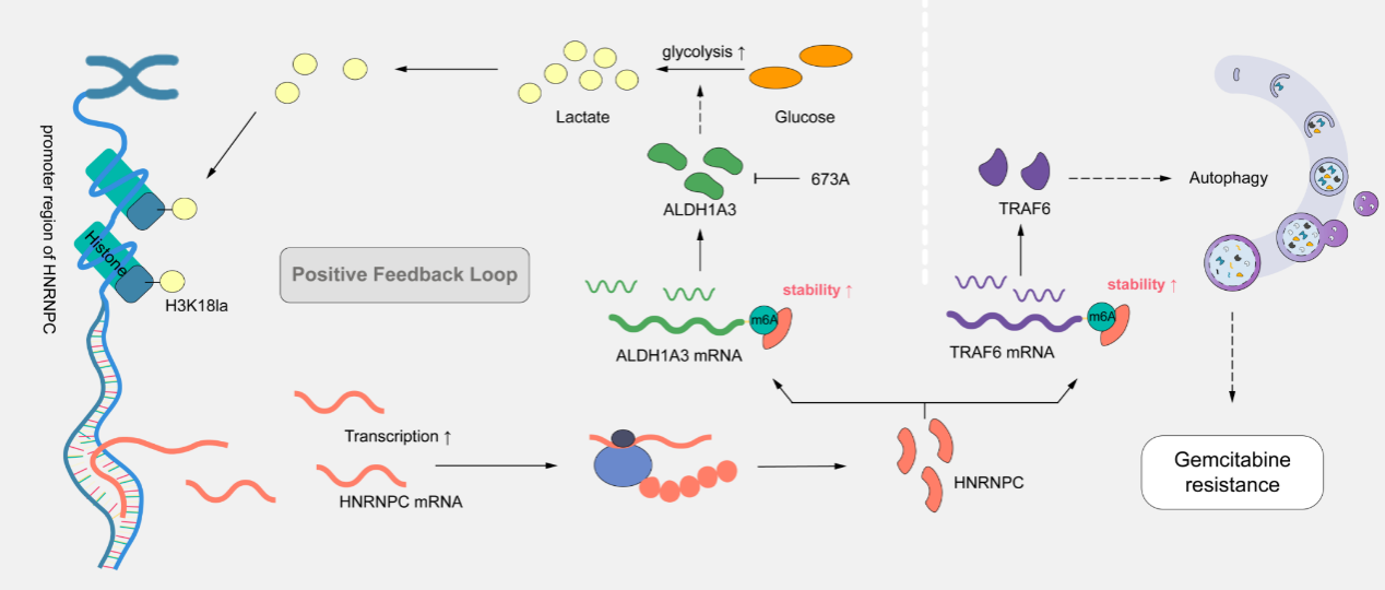 FCC8D3DF0856692BF01D48EED42_09C4A6E7_23ACF FCC8D3DF0856692BF01D48EED42_09C4A6E7_23ACF