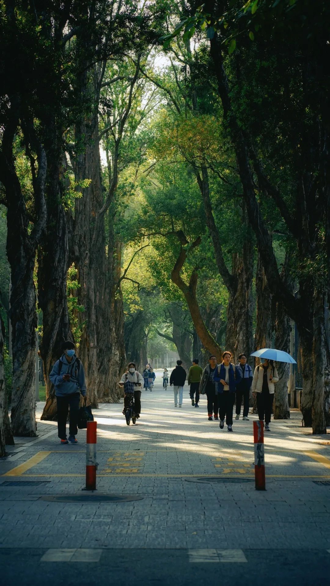 E72E8DE423D8AD067CDF92F62B8_218D0F21_658B5 ͼƬ