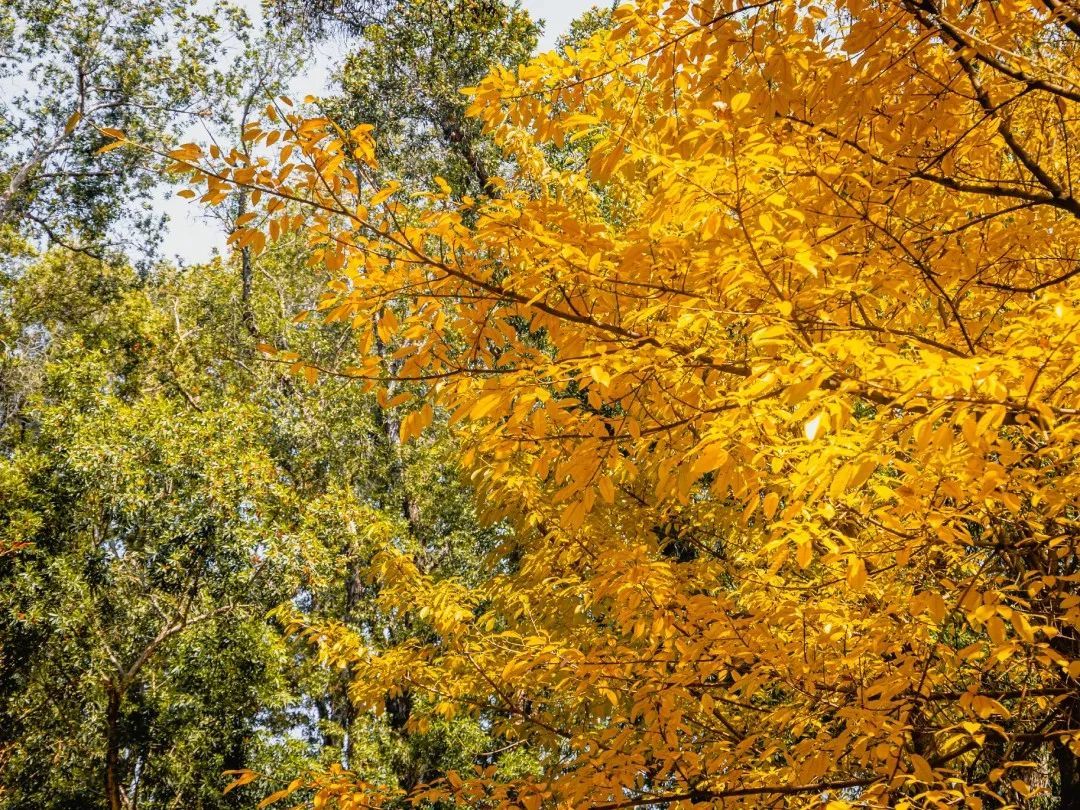 13639BCF936D30EDCE896EE507E_F2054071_5ACF2 ͼƬ