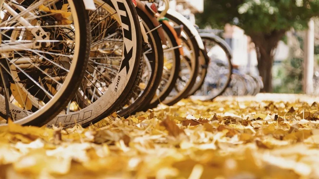 5AD38546518FE99EC45232B41CD_7C13E9D5_1D4CF ͼƬ