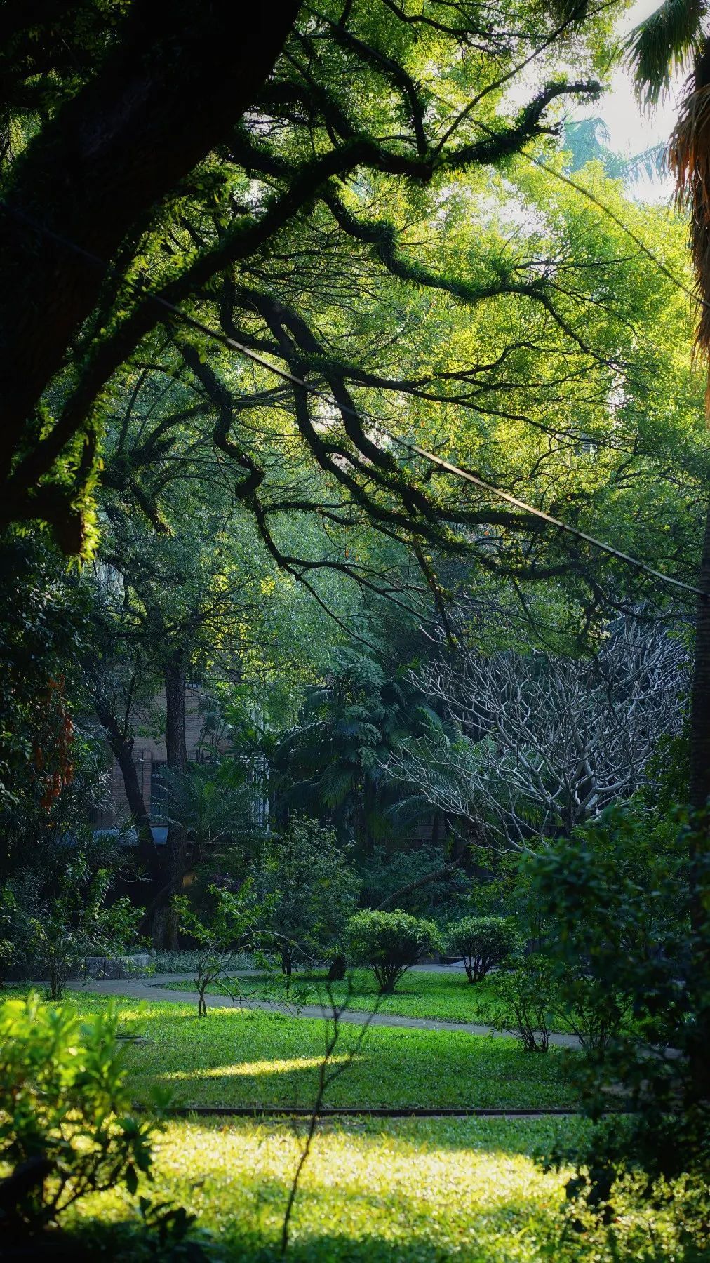 56C6FFF66120154986A4C86CE06_649726AC_92AD9 ͼƬ