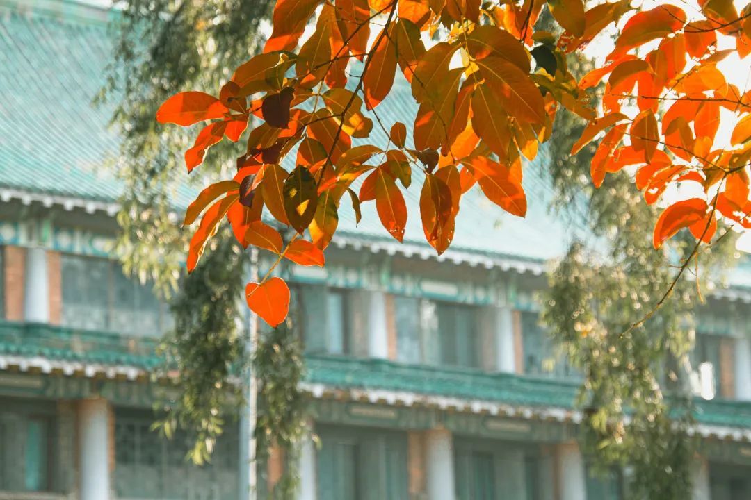 1E4737D0243B1960C461C767FBC_3BFF5EF5_2148C ͼƬ