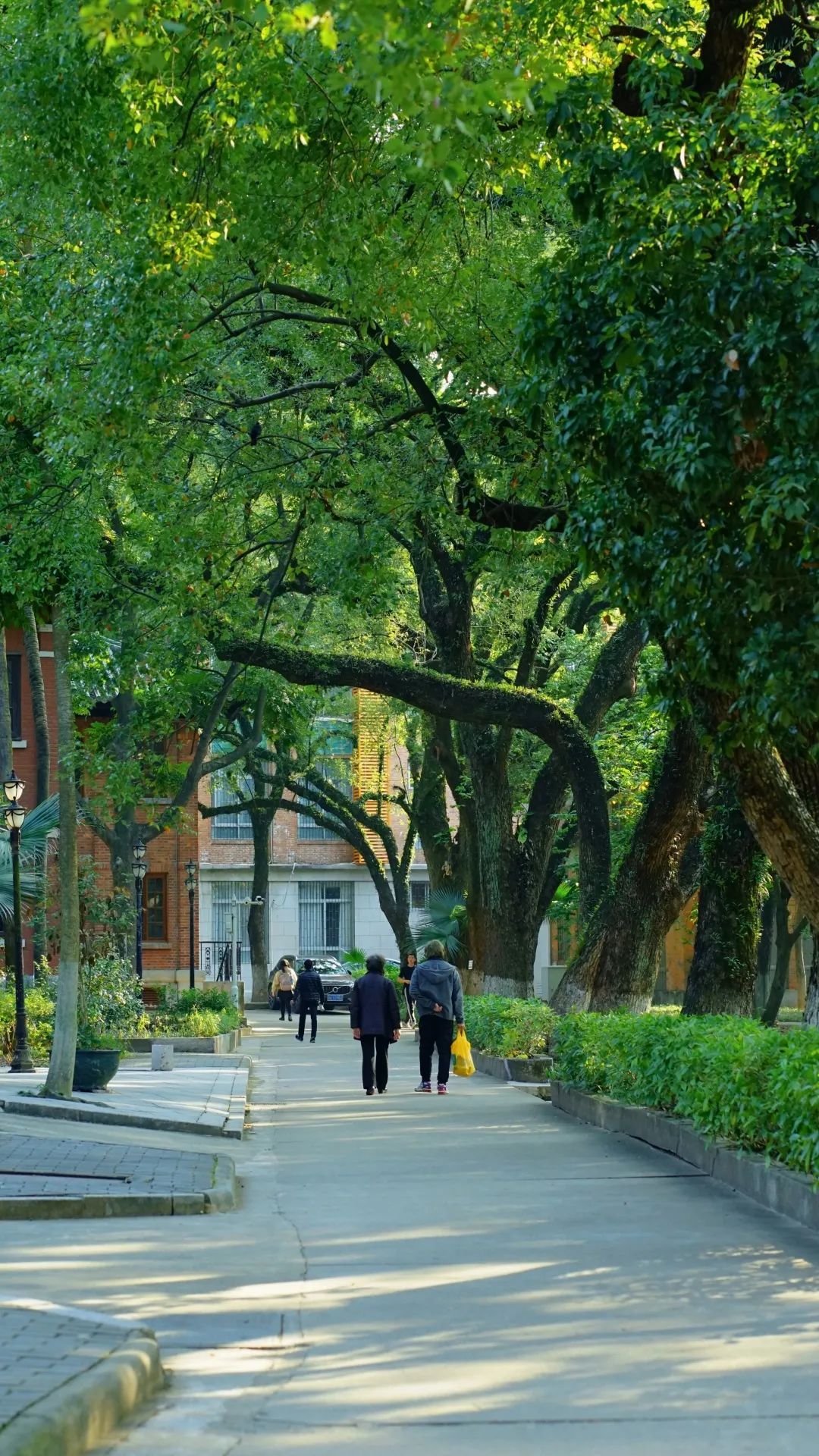 710982AF5B2A04F6B8177345B4F_B4125D8F_7219D ͼƬ