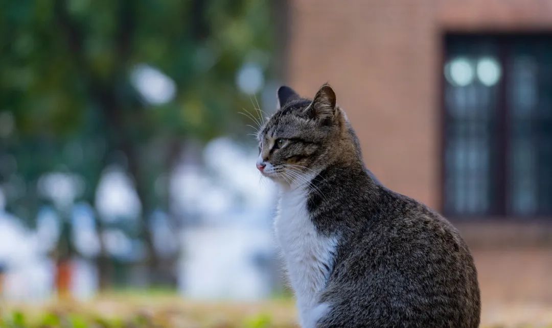 2DC4D31A996E0C7C078D08BF6F8_C6F544F2_10F12 ͼƬ