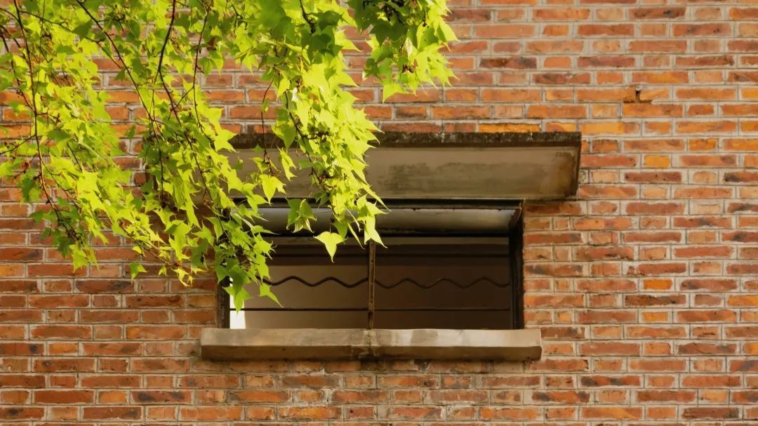 1AC79FC40FCF3DC0CB94AF0D75D_78A181C0_2380F ͼƬ