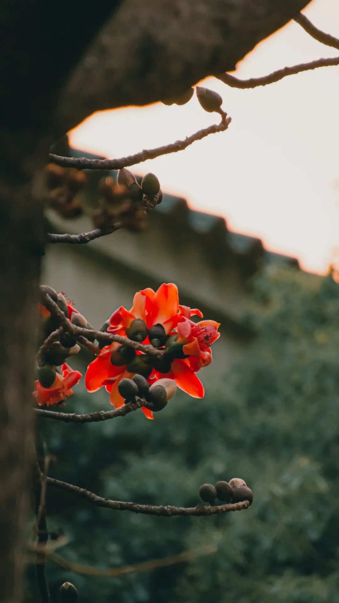 9651342BE0EDBBFE6159338F12F_0F1A706D_1FAA3 ͼƬ