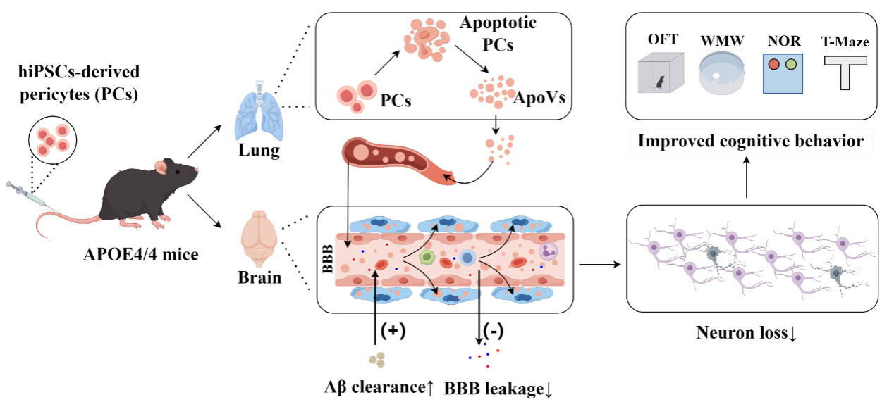 C89DF4B26925A66F6C002DE0631_2640527E_3058B C89DF4B26925A66F6C002DE0631_2640527E_3058B