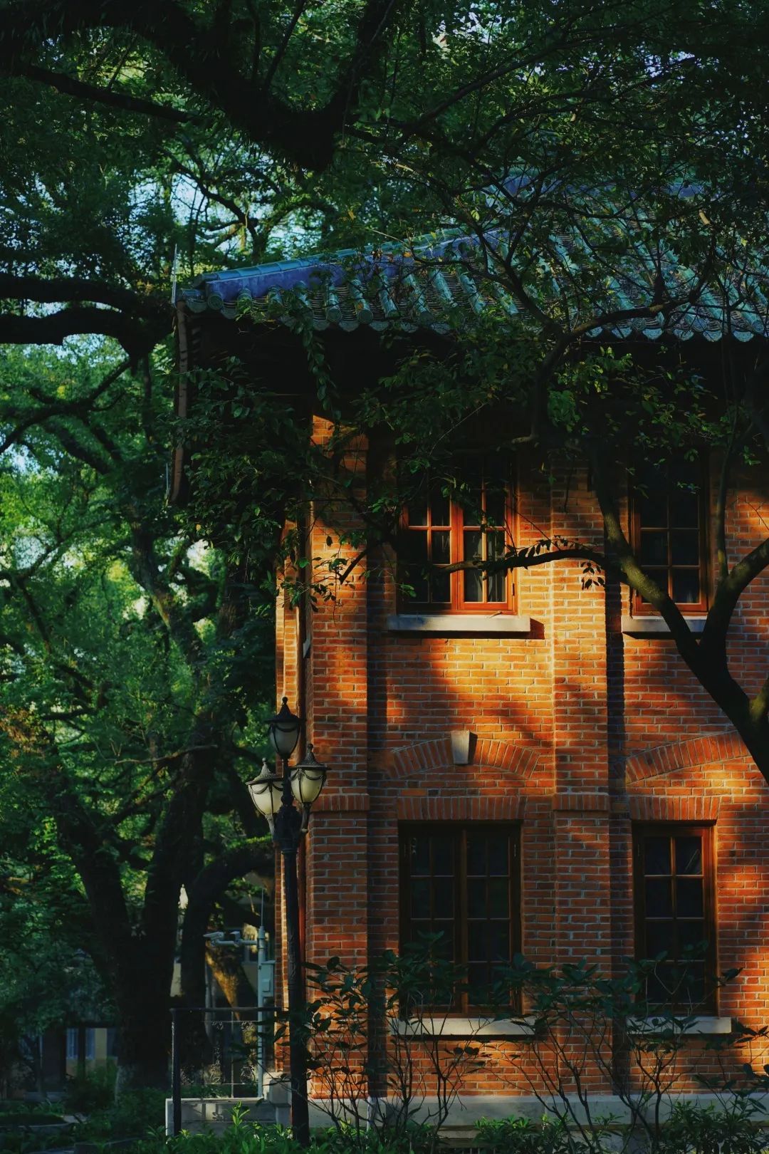 BAAD78958C2BC73C5E290202D32_10E0C0A8_56B51 ͼƬ