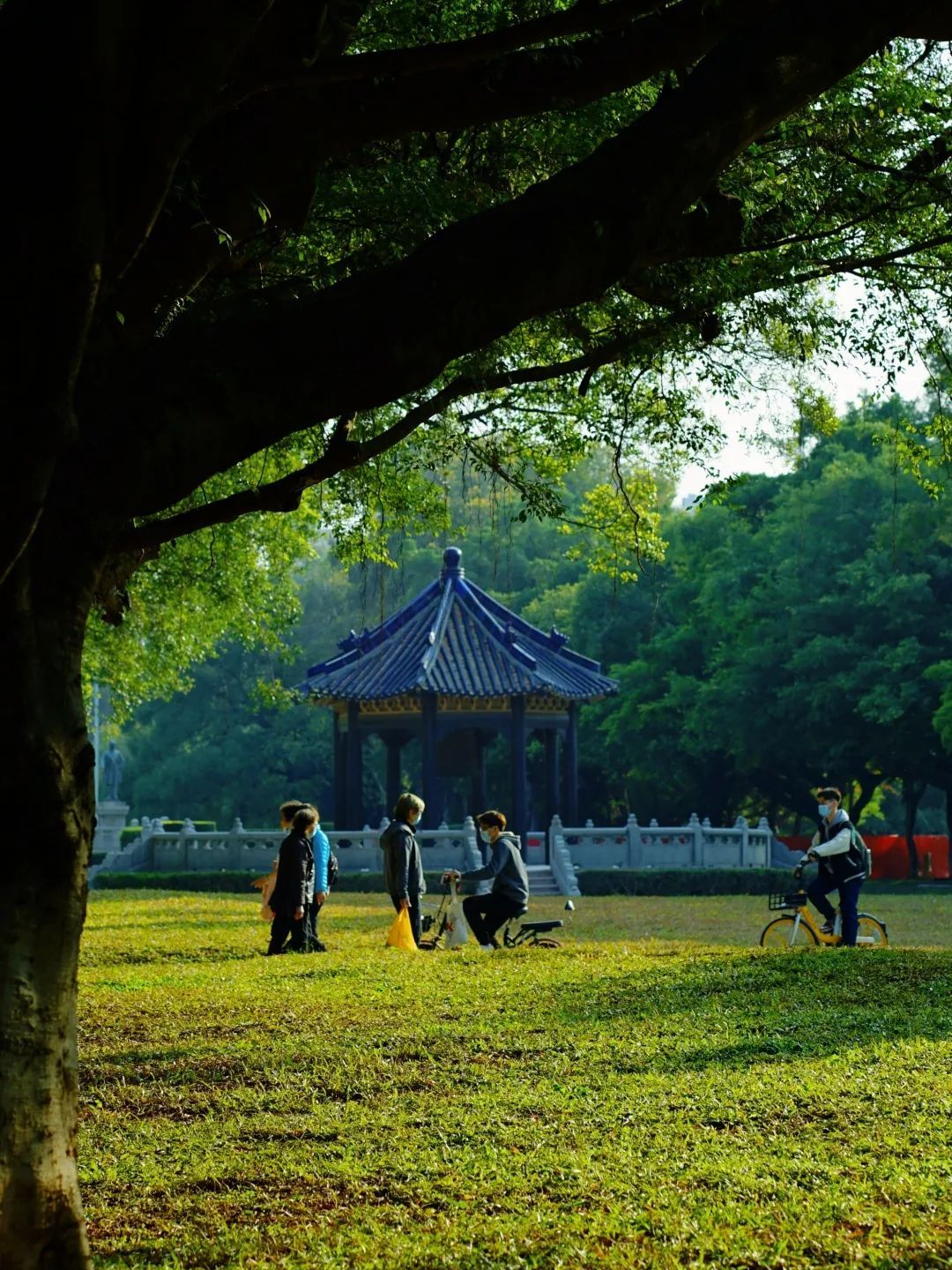 B79E14FE2BF643FA54DE2FE7C9A_4078C948_55F82 ͼƬ